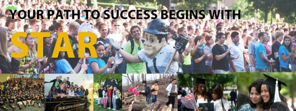 Your path to success begins with STAR - Summer Transition Advising and Registration